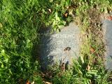 image of grave number 121966